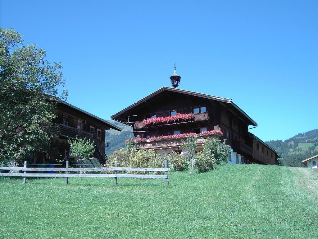 Mitterhaidgut Βίλα Hollersbach im Pinzgau Εξωτερικό φωτογραφία