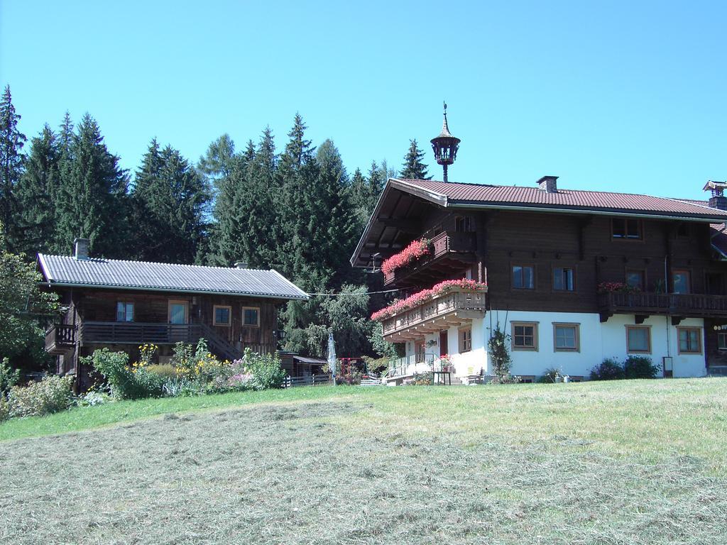 Mitterhaidgut Βίλα Hollersbach im Pinzgau Εξωτερικό φωτογραφία