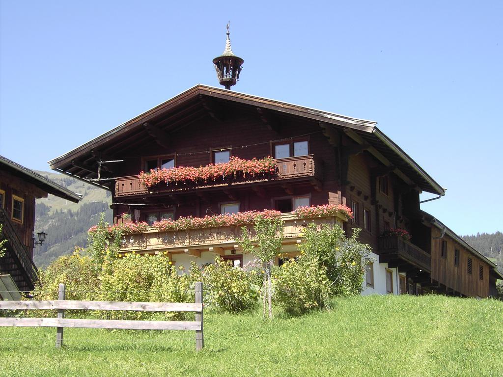 Mitterhaidgut Βίλα Hollersbach im Pinzgau Εξωτερικό φωτογραφία