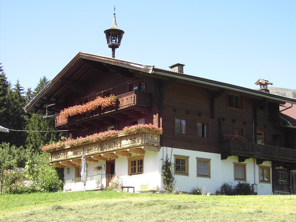 Mitterhaidgut Βίλα Hollersbach im Pinzgau Εξωτερικό φωτογραφία